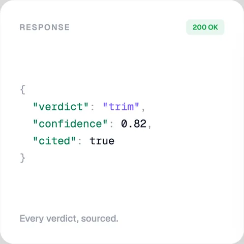 The API
